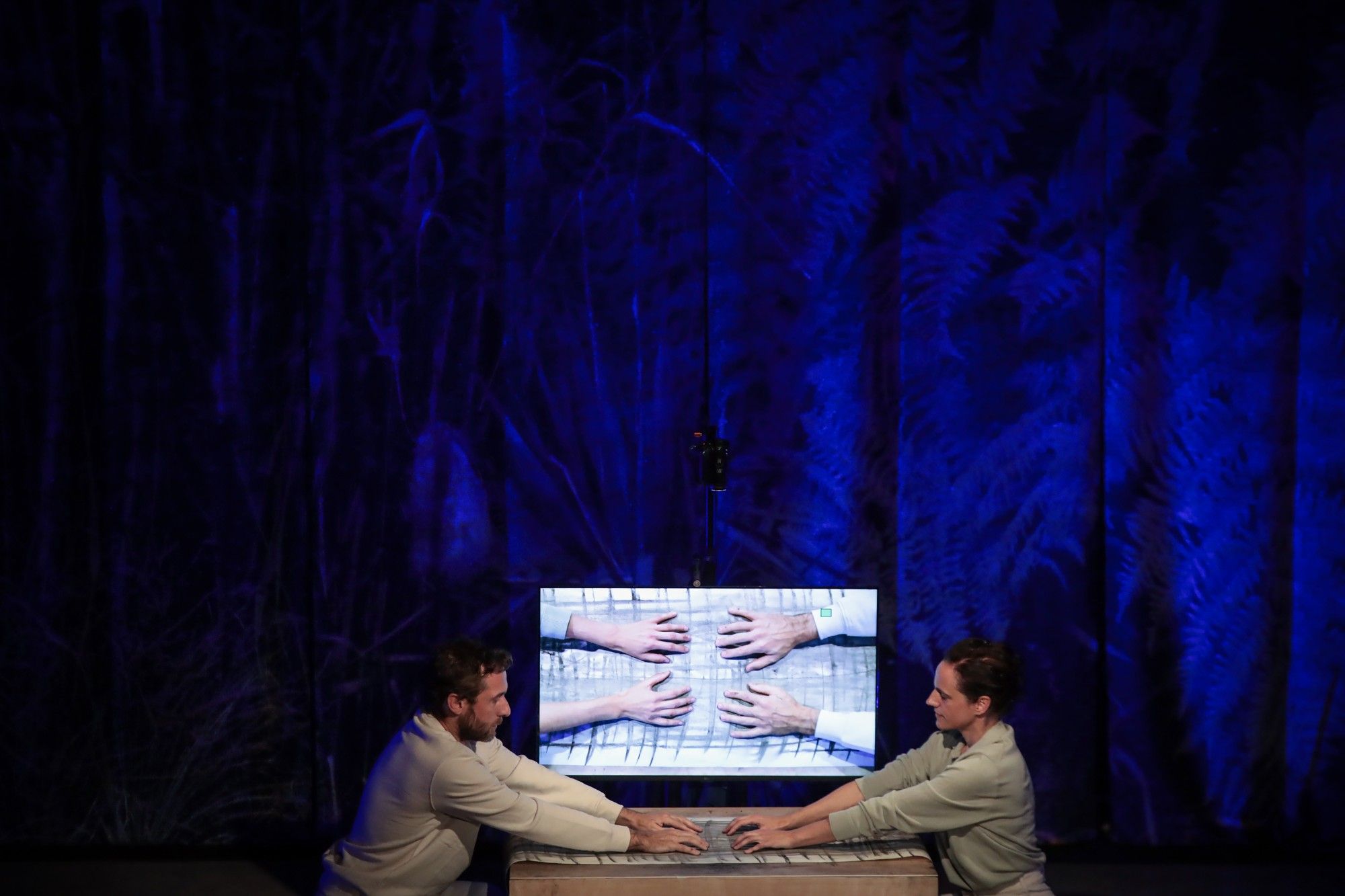 ALKANARA - Alkantara Festival 2025: the photo album - ©Bruno Simão