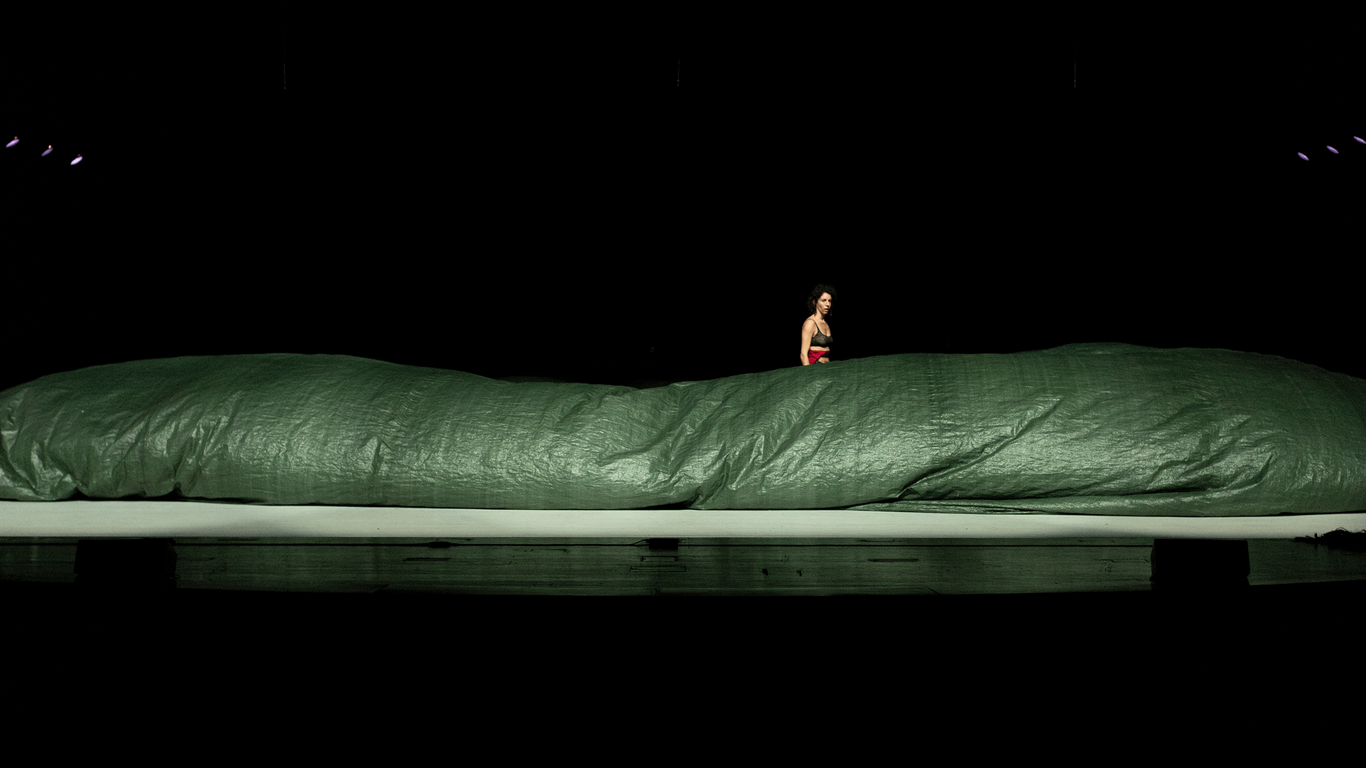 CANTAR by Francisco Thiago Cavalcanti & um cavalo disse mamãe - Walesca Timmen