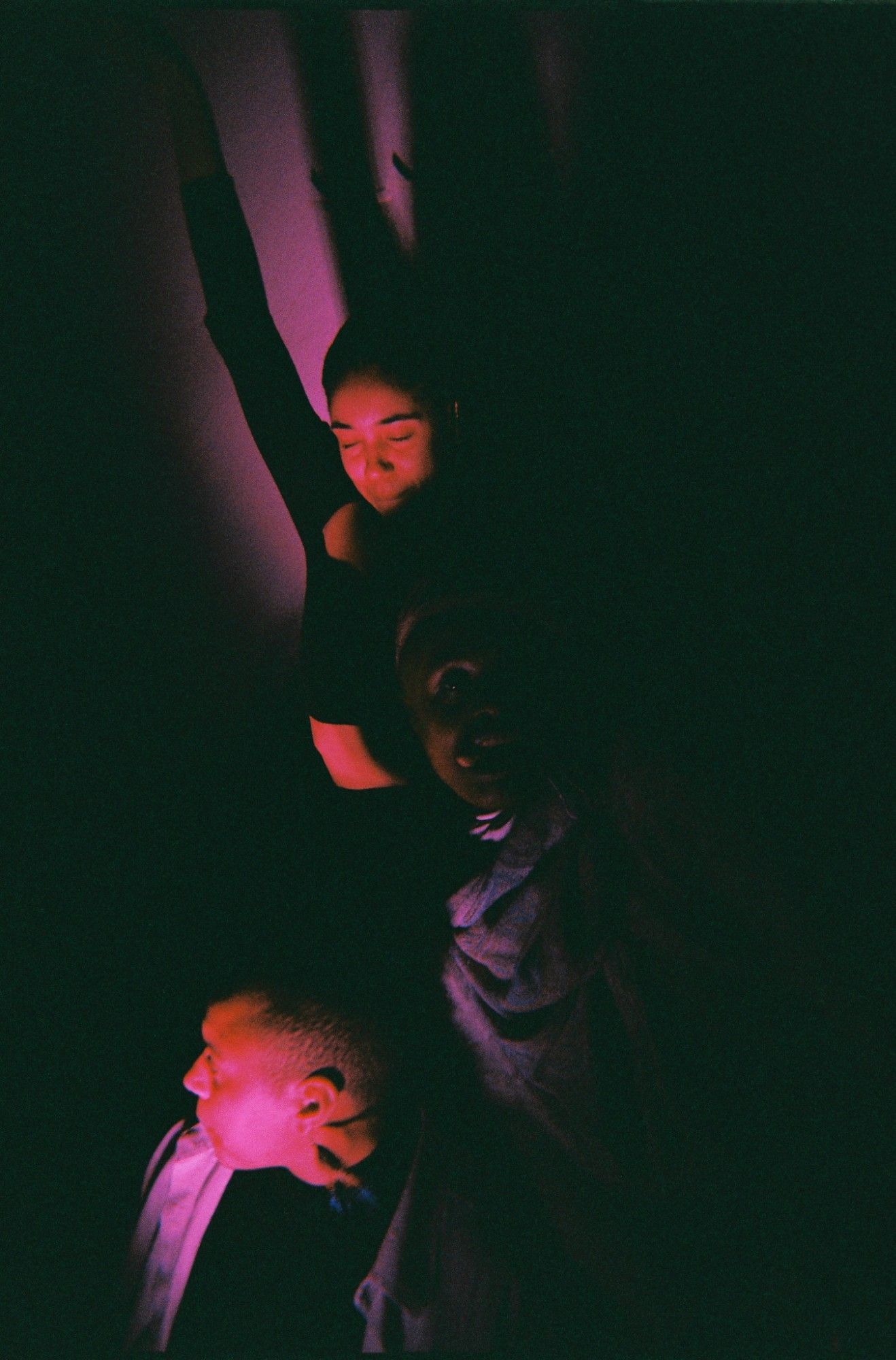 ALKANTARA - Alkantara Festival 2025: memórias em analógico - ©