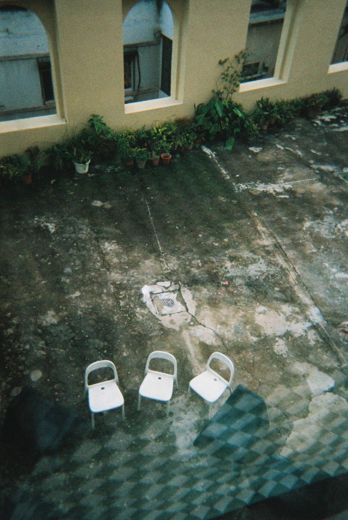 ALKANTARA - Alkantara Festival 2025: memórias em analógico - ©