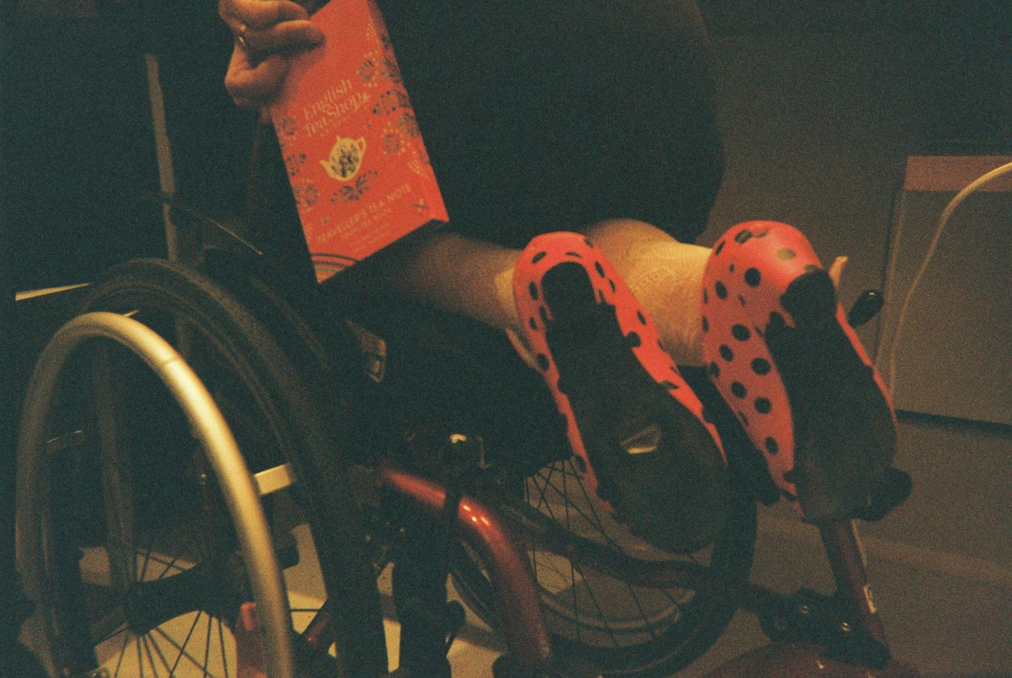 ALKANTARA - Alkantara Festival 2025: memórias em analógico - ©