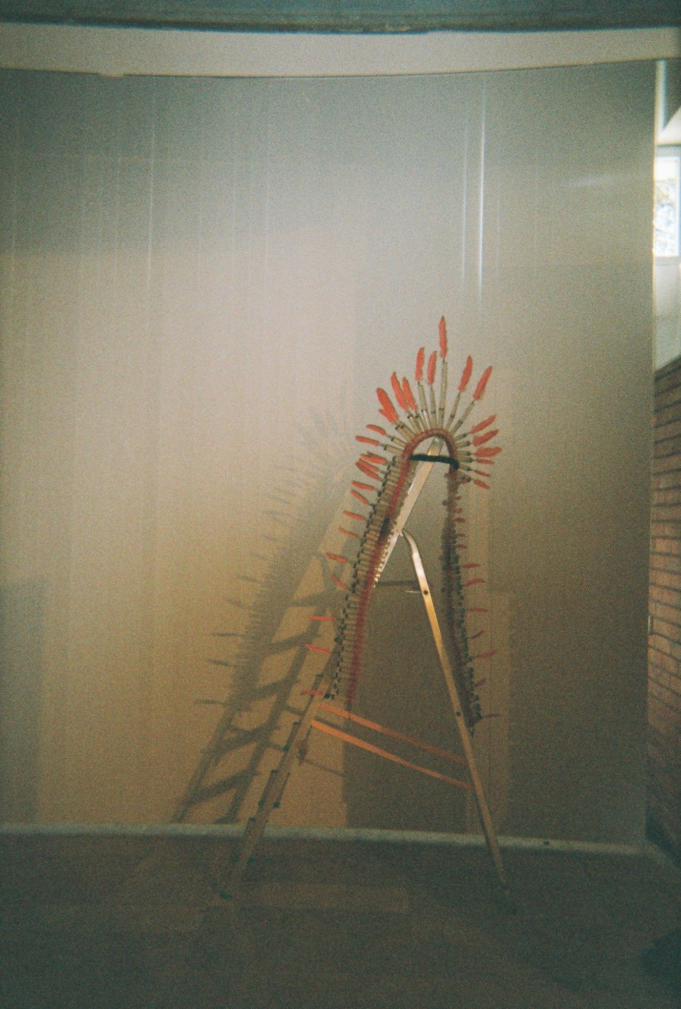 ALKANTARA - Alkantara Festival 2025: memórias em analógico - ©