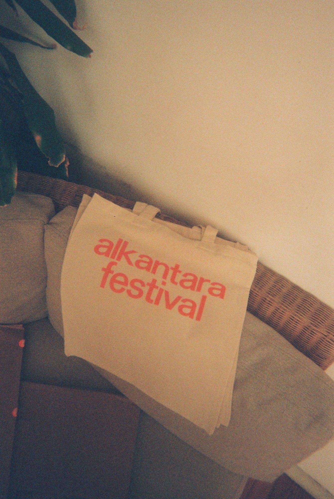 ALKANTARA - Alkantara Festival 2025: memórias em analógico - ©