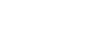 Team & Partners - 2