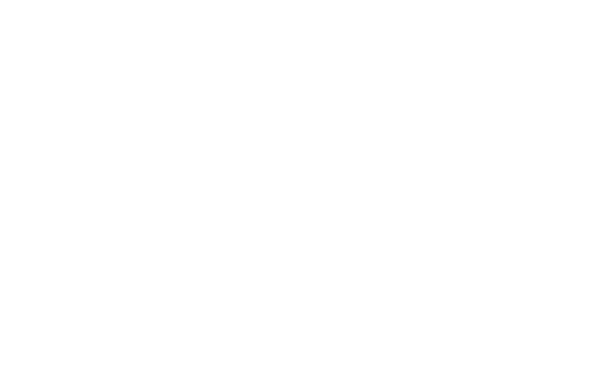 Team & Partners - 5