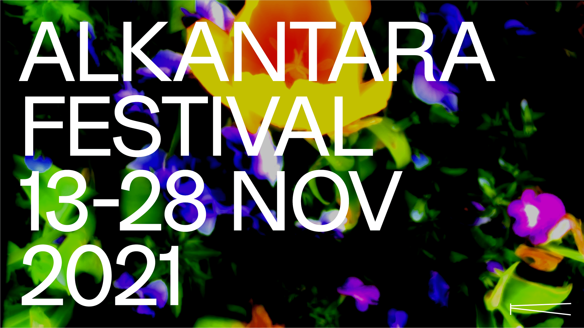 Alkantara Festival - ©