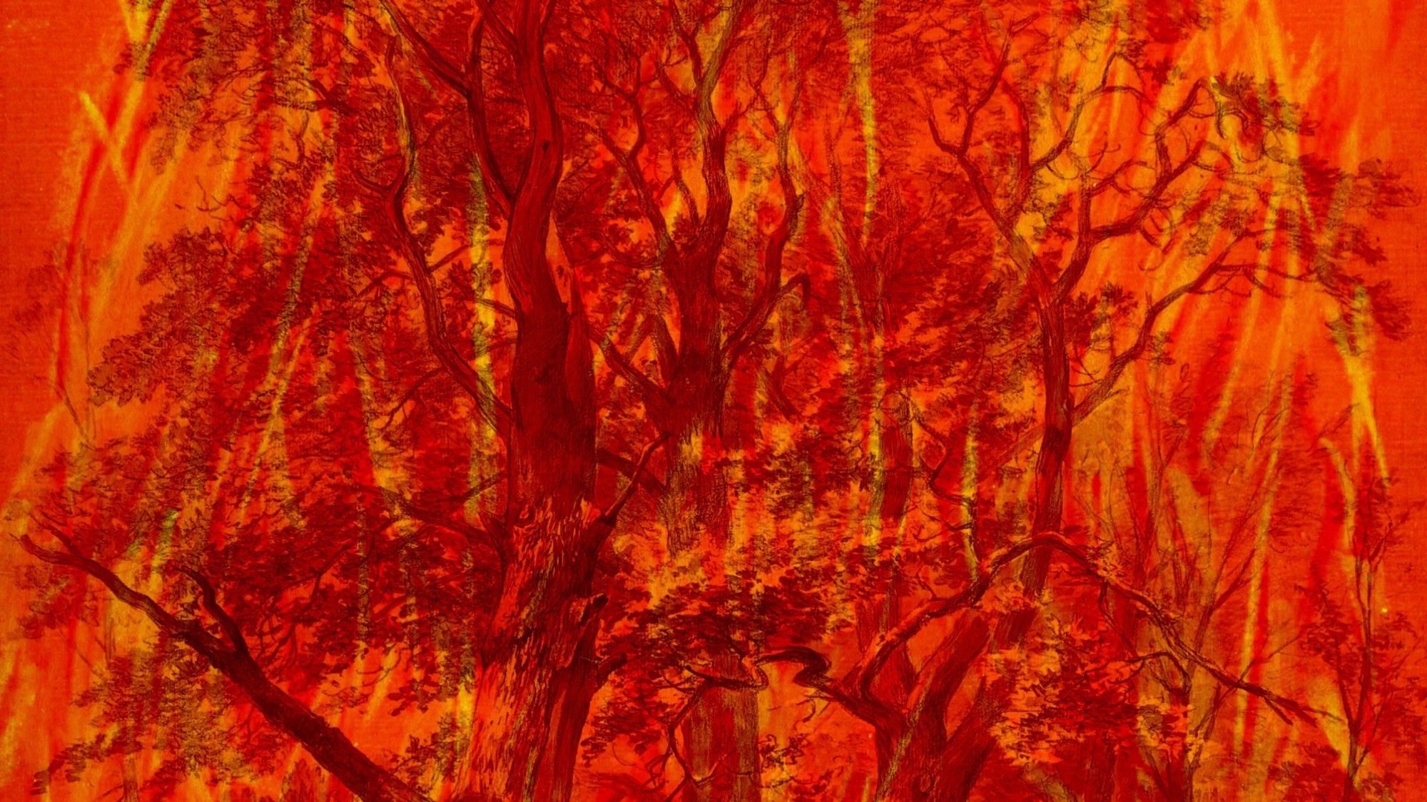 ALKANARA - O Fogo e a Floresta - ©